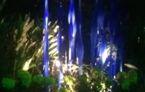 Chihuly Nights…