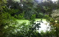 The Pond at Beckenham Place Park…