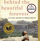 Behind the Beautiful Forevers…